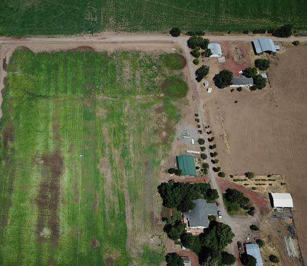 Nutritional Information Per