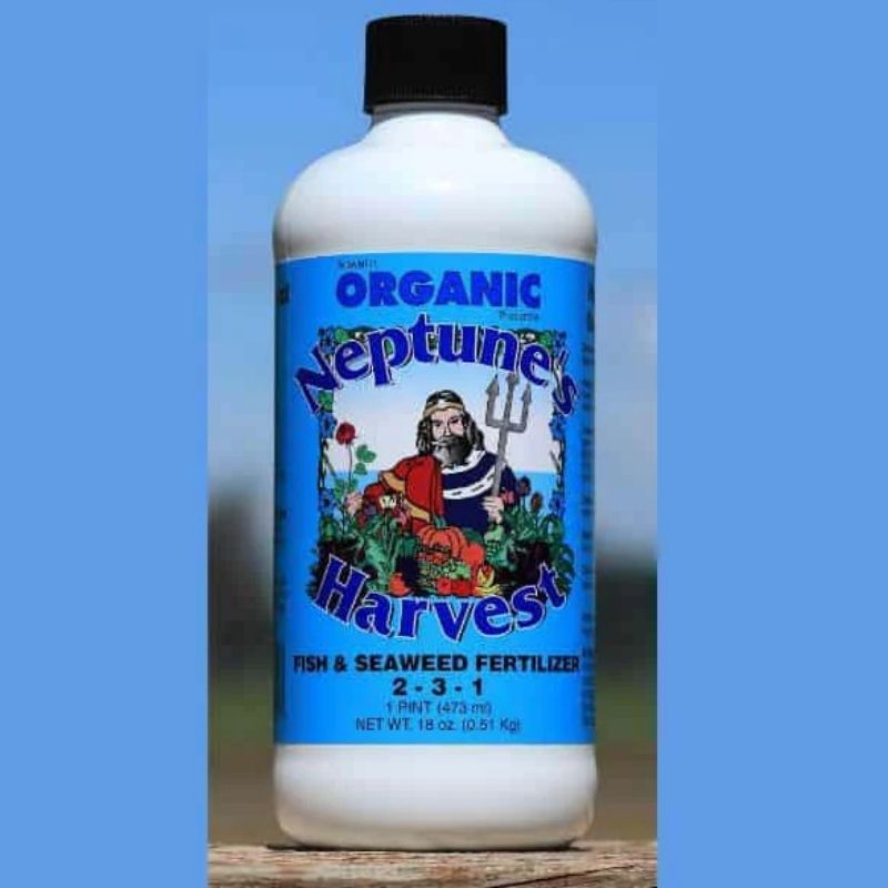 Fish Seaweed Blend One Pint 2 3 1 Organic Fertilizer Basaltic Farms Fish Seaweed Blend One Pint 2 3 1 Organic Fertilizer Basaltic Farms