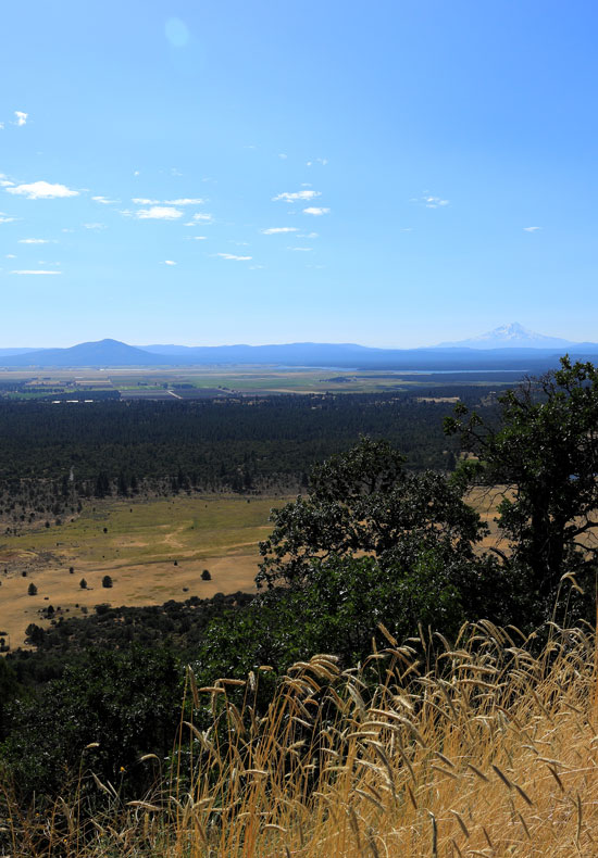 history of organic agriculture