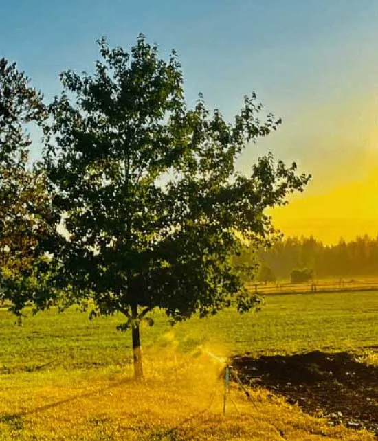 what is organic farming